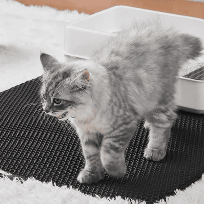 CatStep – smarte Katzenstreumatte für ein sauberes Zuhause