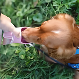 PetSnack - Für Abenteuer ohne Sorgen