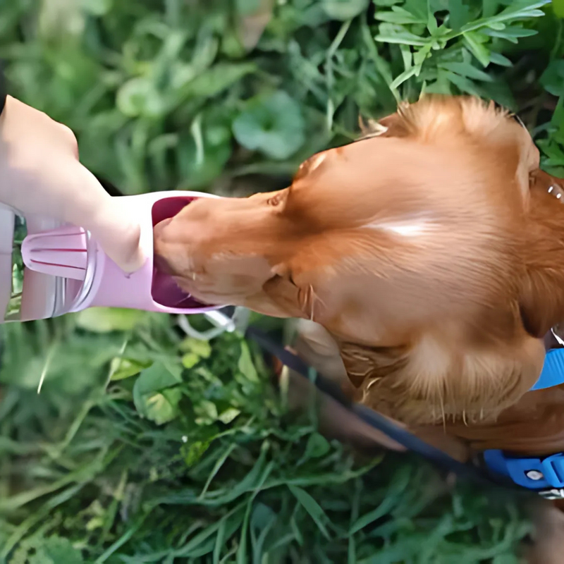 PetSnack - Für Abenteuer ohne Sorgen