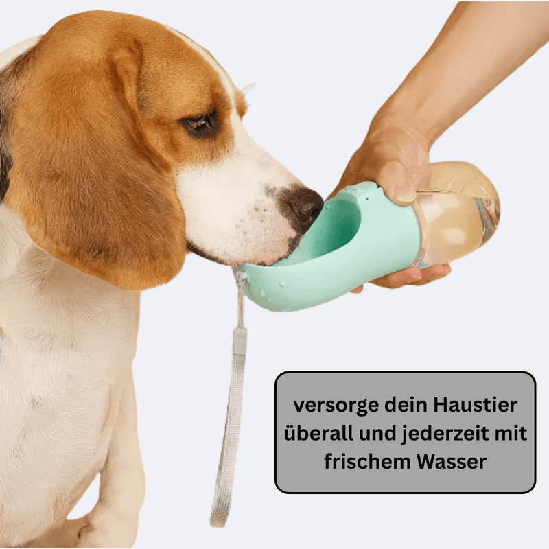 PetBottle - praktische Erfrischung für unterwegs