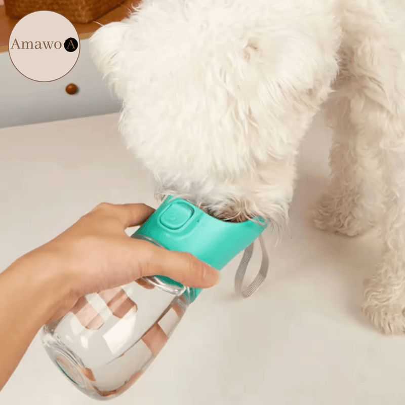 PetBottle - praktische Erfrischung für unterwegs