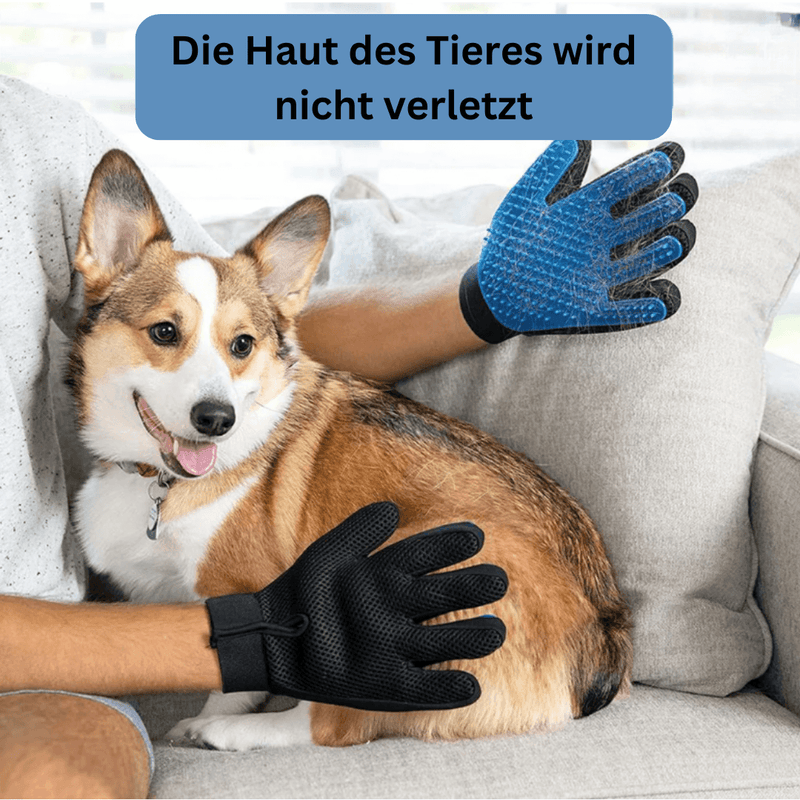 FellZauber – sanfter Pflegehandschuh für glänzendes und gesundes Fell