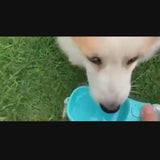 PetSnack - Für Abenteuer ohne Sorgen