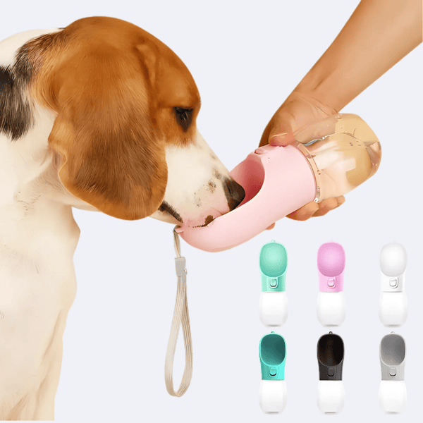 PetBottle - praktische Erfrischung für unterwegs