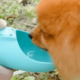 PetBottle - praktische Erfrischung für unterwegs